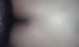 სრული დიდი მამალი ხე ...